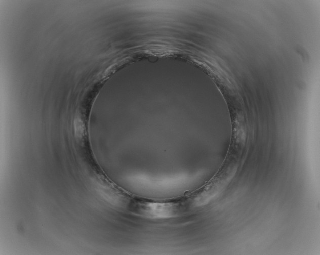 X0000110710371200906121359