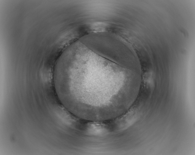 X0000110710372200906121359
