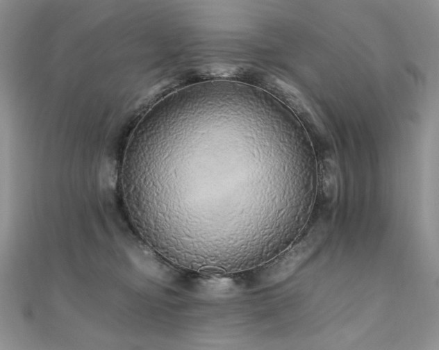 X0000110710374200906121359