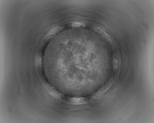 X0000110710375200906121359