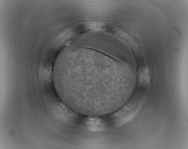 X0000110710376200906121359