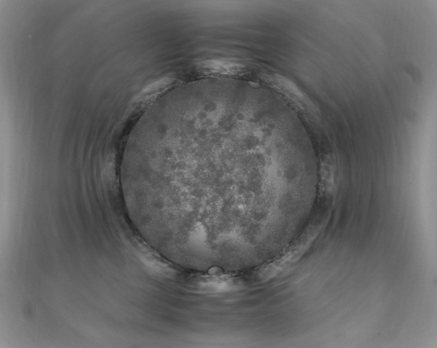 X0000110710377200906121359