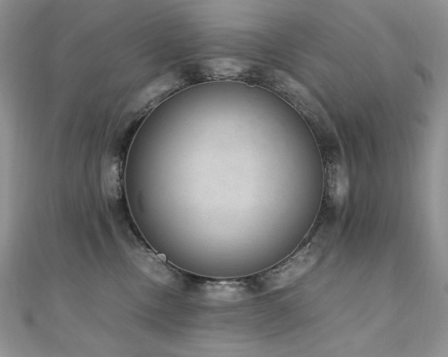 X0000110710378200906121359