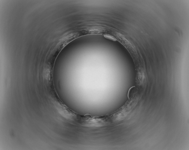 X0000110710379200906121359