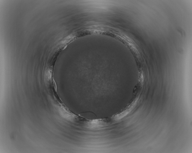 X0000110710382200906121359