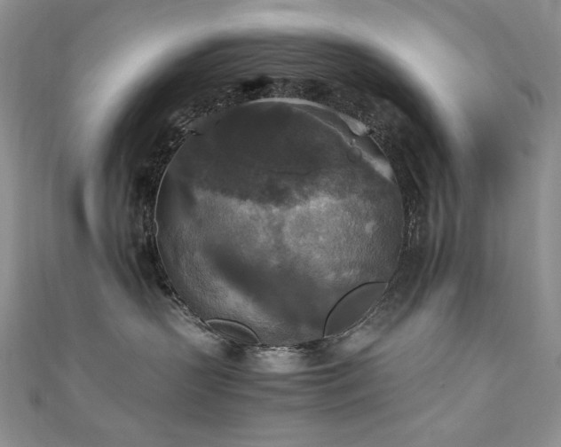 X0000110710383200906121359