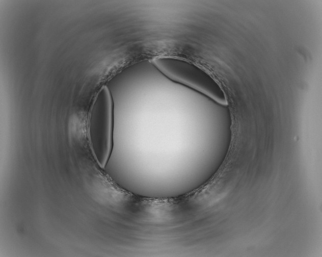 X0000110710384200906121359