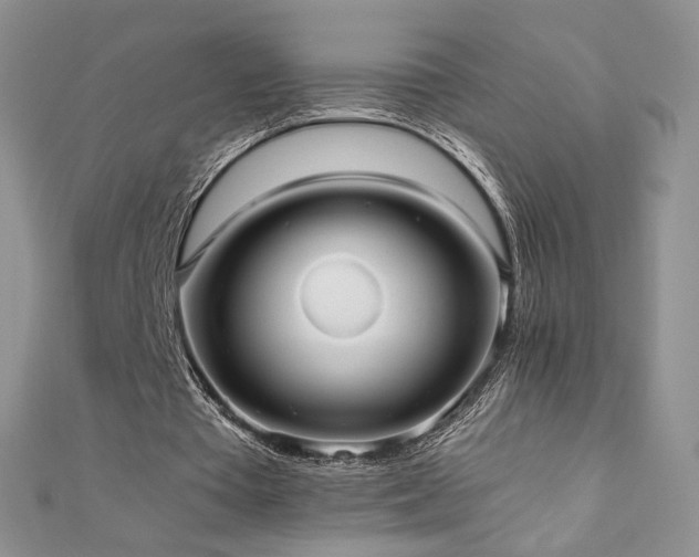 X0000110710385200906121359