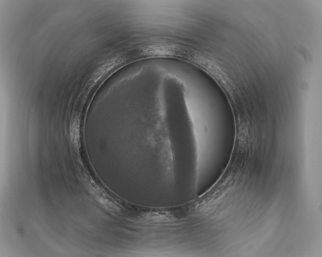 X0000110710386200906121359