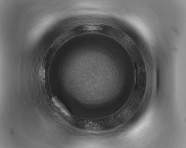 X0000110710387200906121359