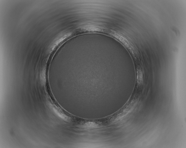 X0000110710390200906121359