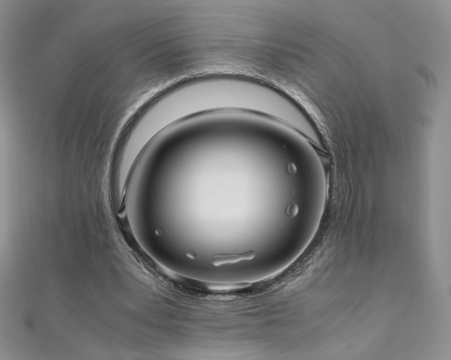 X0000110710391200906121359
