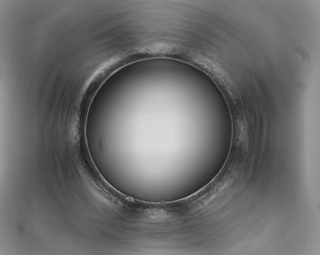 X0000110710392200906121359