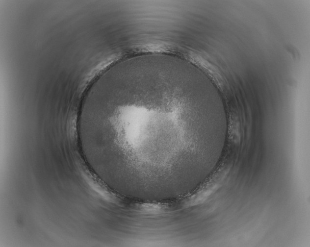 X0000110710394200906121359