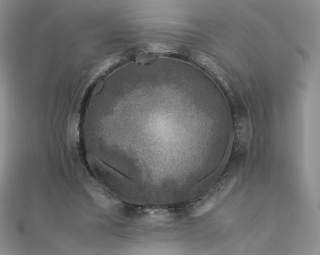 X0000110710395200906121359