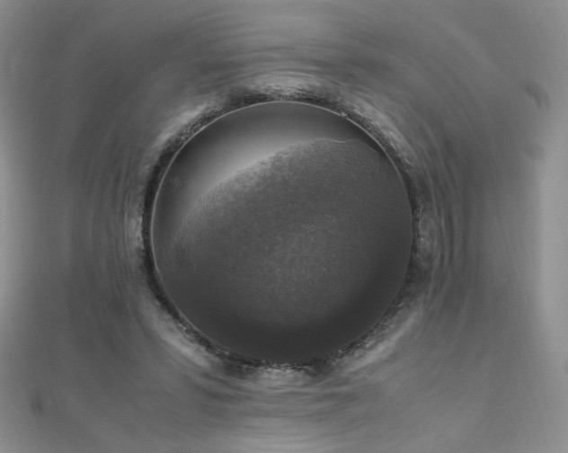 X0000110710399200906121359