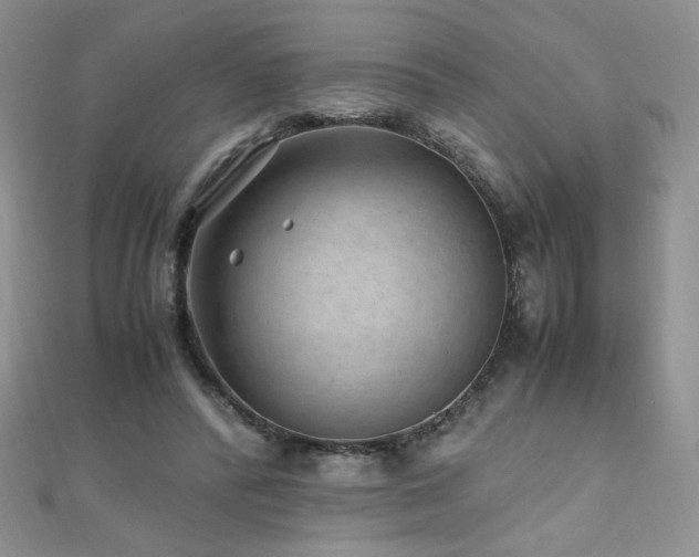 X0000110710400200906121359