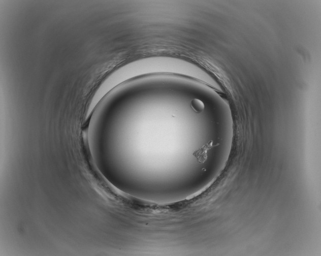 X0000110710401200906121359