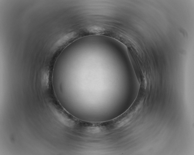 X0000110710404200906121359