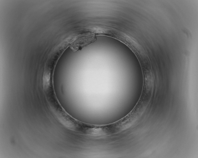 X0000110710406200906121359