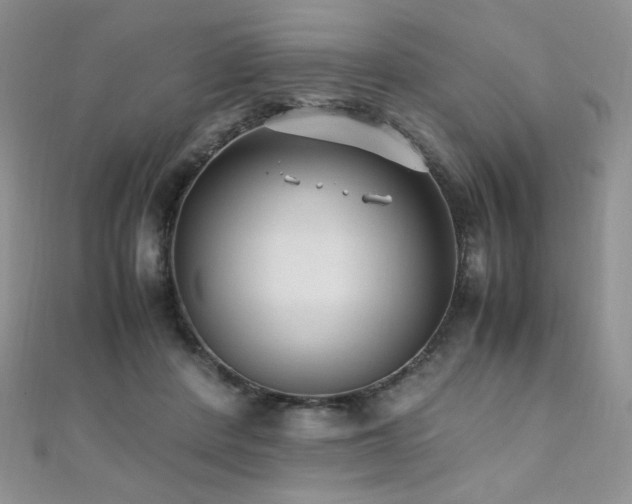 X0000110710408200906121358