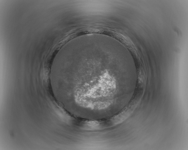 X0000110710409200906121358