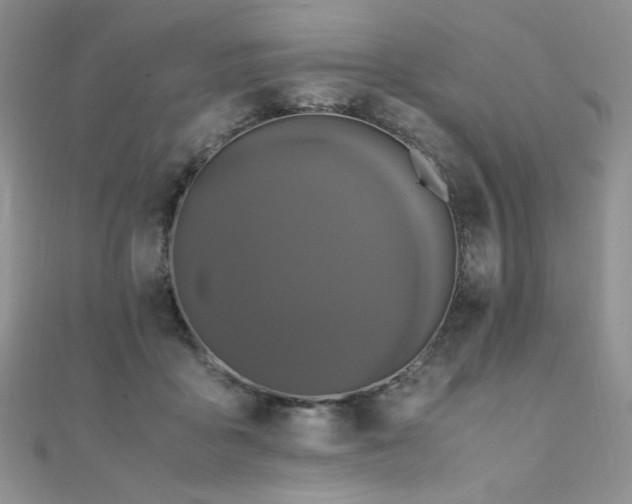 X0000110710411200906121358