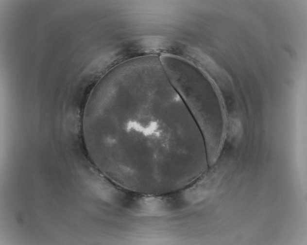 X0000110710413200906121358