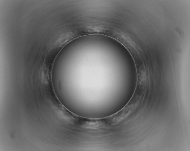 X0000110710414200906121358