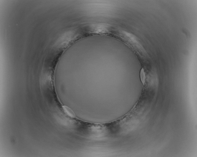X0000110710415200906121358