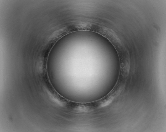 X0000110710416200906121358