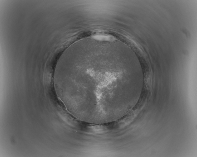 X0000110710417200906121358