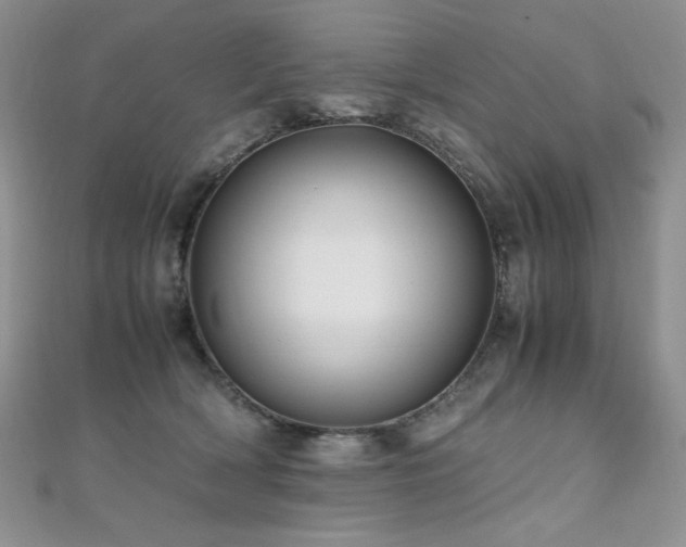 X0000110710418200906121358