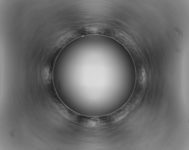 X0000110710420200906121358