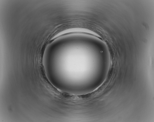 X0000110710421200906121358