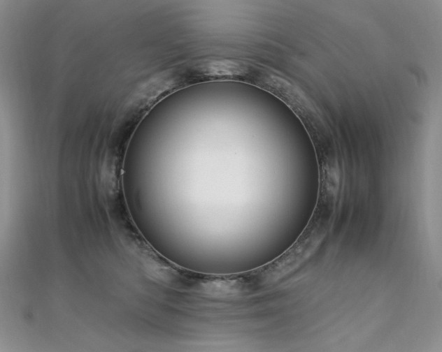 X0000110710422200906121358