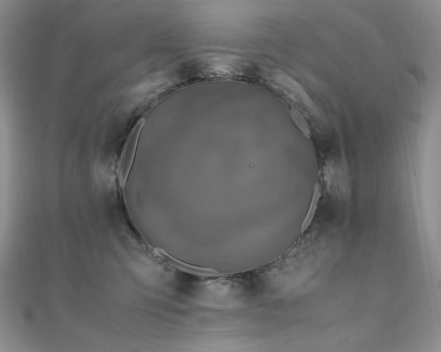 X0000110710423200906121358