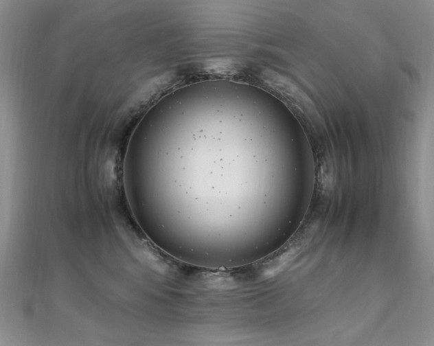 X0000110710424200906121358