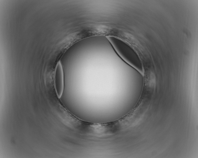 X0000110710425200906121358