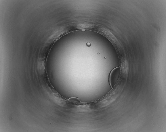 X0000110710426200906121358