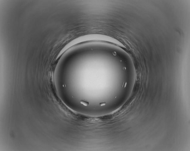 X0000110710427200906121358
