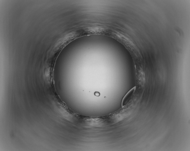 X0000110710428200906121358