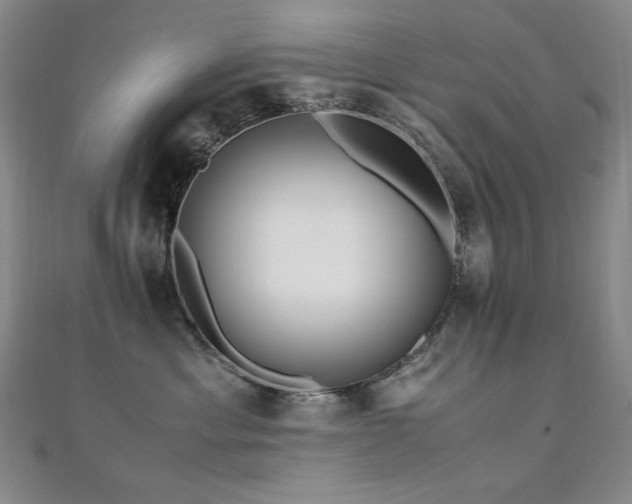 X0000110710429200906121358
