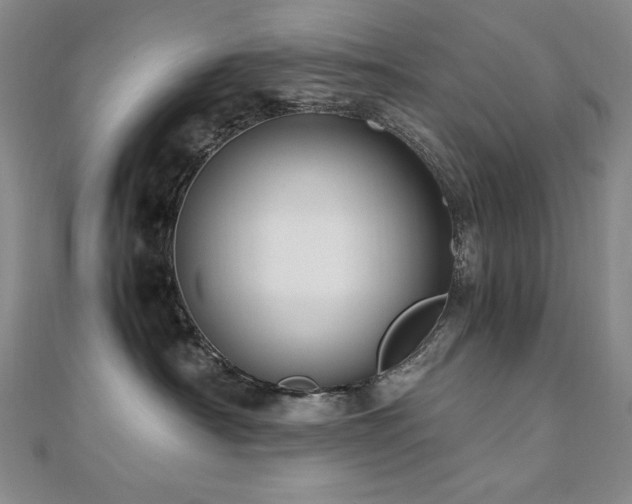 X0000110710430200906121358