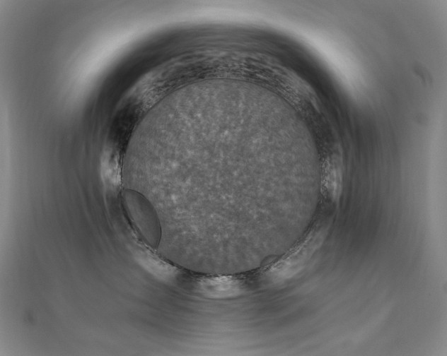X0000110710431200906121358
