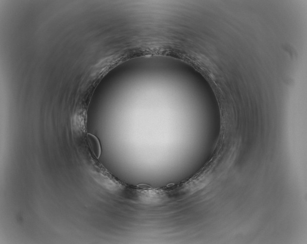 X0000110710432200906121358