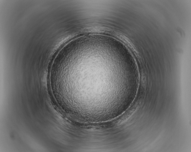 X0000110710434200906121357