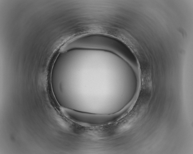 X0000110710436200906121357