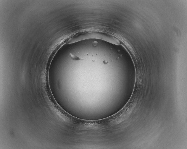 X0000110710437200906121357