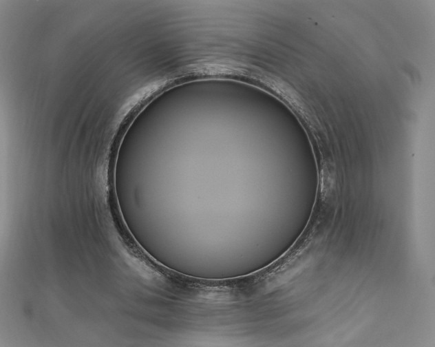 X0000110710438200906121357